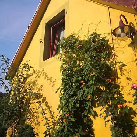 Apartament Zum Waldmeister Schkeuditz