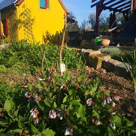 Apartament Zum Waldmeister *