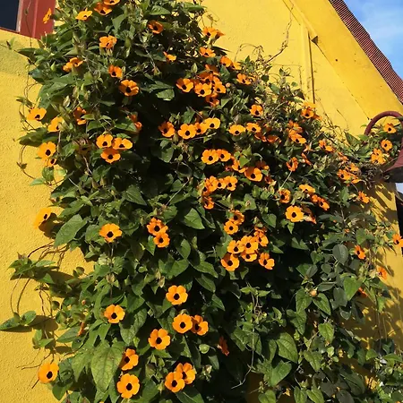 Appartamento Zum Waldmeister Schkeuditz