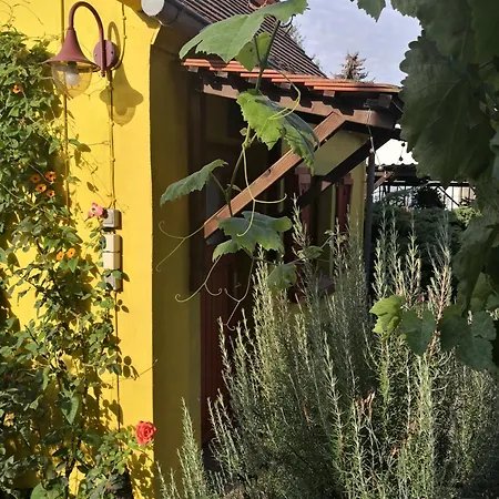 Zum Waldmeister